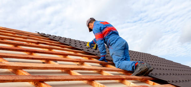 Best Metal Roofing Installation  in Mokuleia, HI