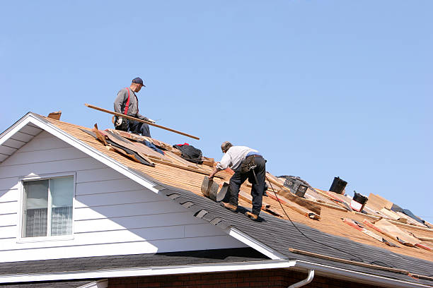 Best Roof Moss and Algae Removal  in Mokuleia, HI