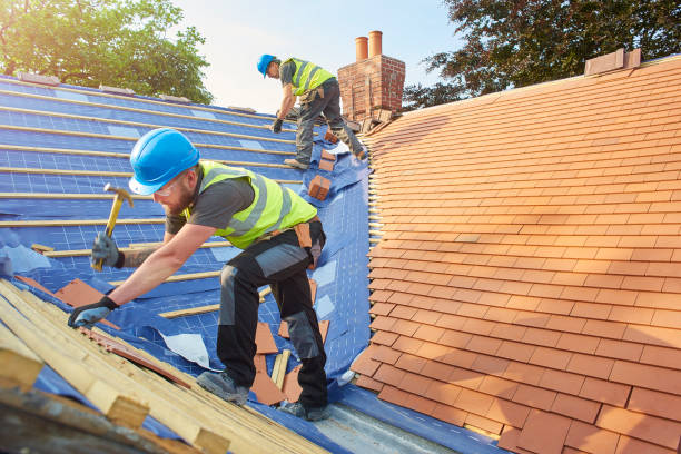Best Solar Panel Roofing Installation  in Mokuleia, HI